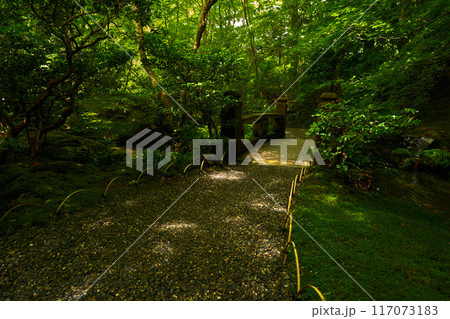 京都 瑠璃光院 京都 瑠璃光院 117073183