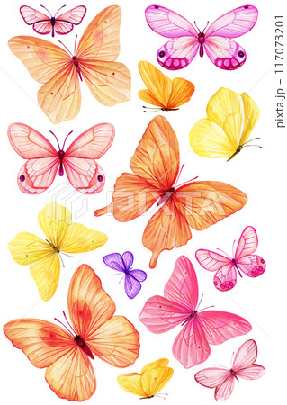 Butterflies set watercolor painting illustration isolated background, colorful butterfly, art collection spring animal 117073201