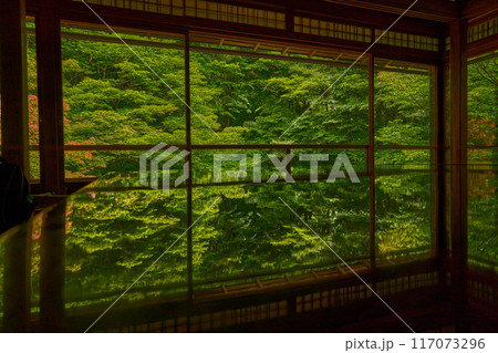 京都　瑠璃光院 117073296