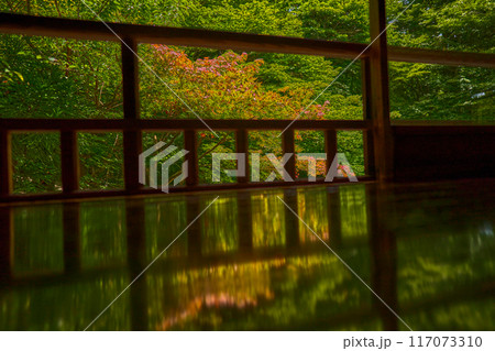 京都　瑠璃光院 117073310