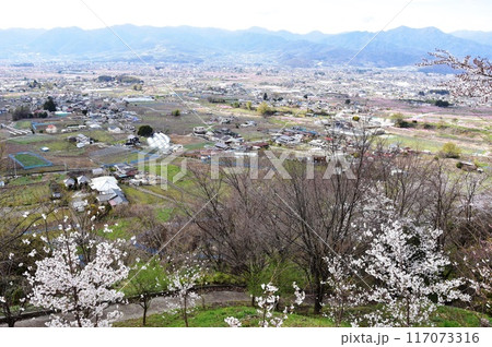 甲州市　勝沼ぶどうの丘からの南アルプス眺望 117073316