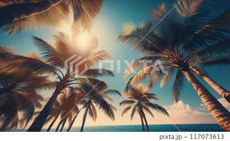 ヤシの木のある風景 117073613