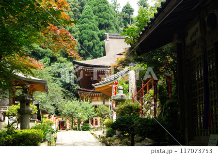 琵琶湖の孤島竹生島宝厳寺の参道 117073753