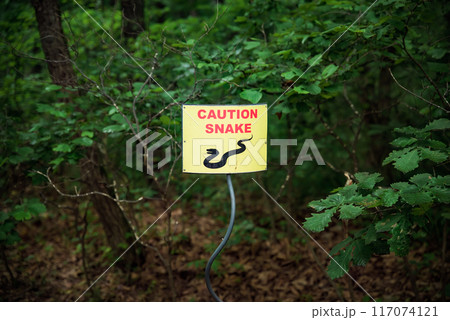 Sign caution snake in the forest 117074121