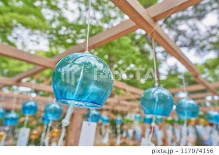 長岡　金峯神社 117074156