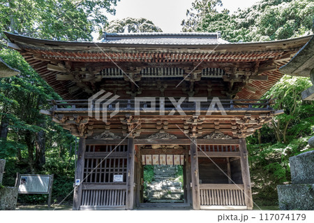 スタジイの側に 椎尾山薬王院の桜門がある【仁王門】 117074179