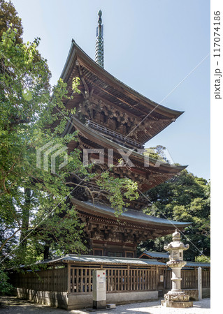 大工棟梁桜井瀬左衛門安信の手による薬王院三重塔 大工棟梁桜井瀬左衛門安信の手による薬王院三重塔 117074186