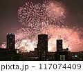 なにわ淀川花火大会① 117074409