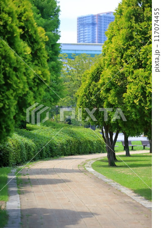 辰巳の森海浜公園の風景(東京都江東区) 辰巳の森海浜公園の風景(東京都江東区) 117074455