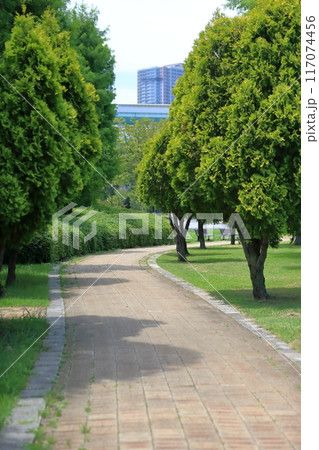 辰巳の森海浜公園の風景(東京都江東区) 辰巳の森海浜公園の風景(東京都江東区) 117074456