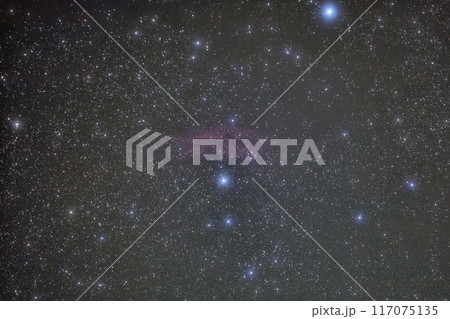 カリフォルニア星雲（山中湖・石割山から） 117075135