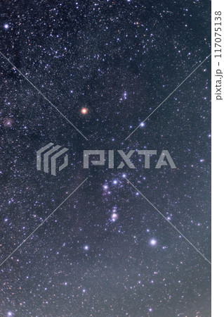 オリオン座（山中湖・石割山から） 117075138