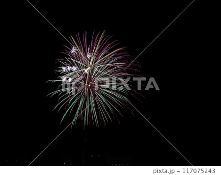 JR相生駅新幹線ホームから見る2024年ペーロン花火大会 117075243