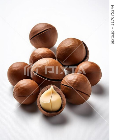 マカデミアナッツ 117075244