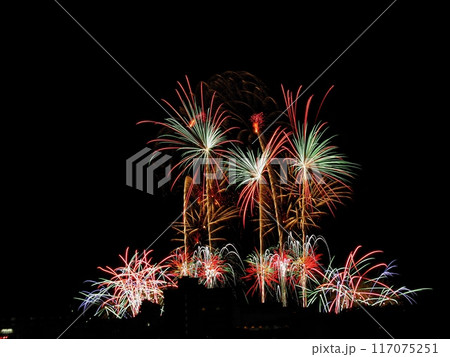 JR相生駅新幹線ホームから見る2024年ペーロン花火大会 117075251