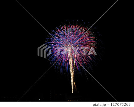 JR相生駅新幹線ホームから見る2024年ペーロン花火大会 117075265