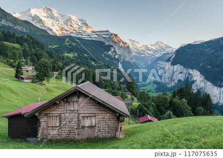 View from Wengen mountain village on bernese oberland and Lauterbrunnen valley in the evening at Switzerland 117075635