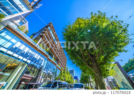 日本の東京都市景観8月・インバウンド続く…続々通過する航空機…（外国人で賑わう原宿駅前）車も大混雑… 117076028