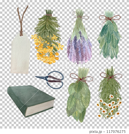 Lavender, chamomile, lemon balm, sage bunches tied with a string, scissors, price tag and a book watercolor set isolated on white. Hand painted art great for flower shop, cards, craft guides 117076275