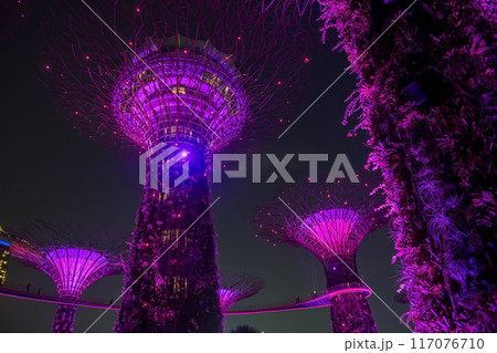 Supertree Grove Rhapsody purple light up show at night, Singapore Supertree Grove Rhapsody purple light up show at night, Singapore 117076710