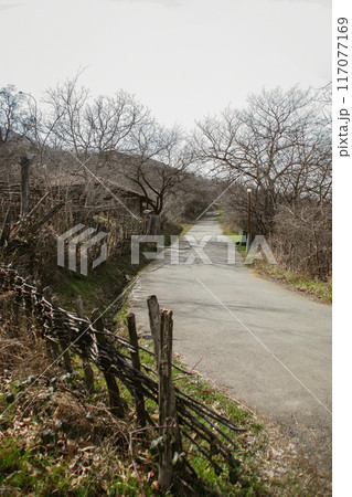 Autumn dry trees, leaves at a narrow trail through a village in Georgia. 117077169
