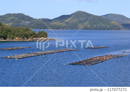 笠戸湾の養殖いけす　瀬戸内海の養殖漁業 117077272