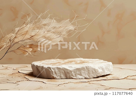 Tropical dry leaf product presentation with Cracked stone . Natural beige background Studio Minimal showcase Tropical dry leaf product presentation with Cracked stone . Natural beige background Studio Minimal showcase 117077640