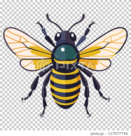 Hachi 真實俯視圖 117077748