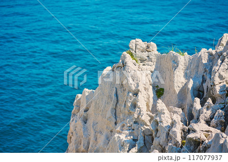 白崎海洋公園 白崎海洋公園 117077937