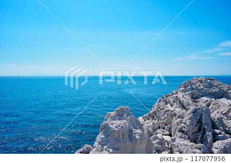 白崎海洋公園 117077956