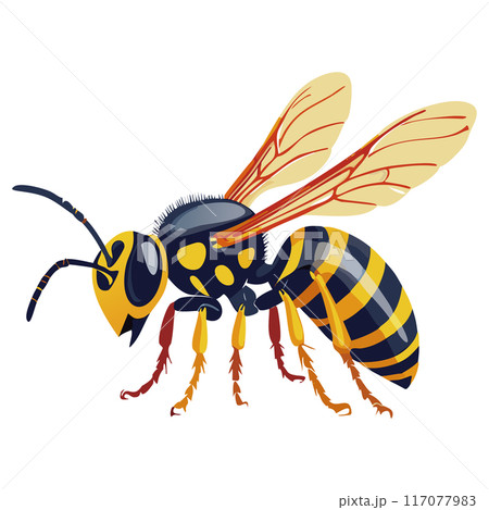 スズメバチ スズメバチ 117077983