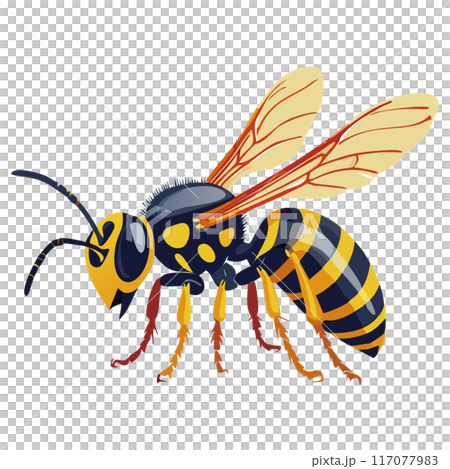 スズメバチ スズメバチ 117077983