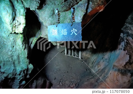 東北・龍泉洞・蝙蝠穴・奥におびただしい数のコウモリが生息している穴の入口・岩手県岩泉町(1) 117078050