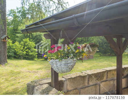 Close up white wicker basket, flower pot with various colorful blooming flowers hanging from wooden roofed pergola or altan. 117078130