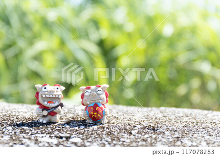 シーサーとサトウキビ畑 117078283