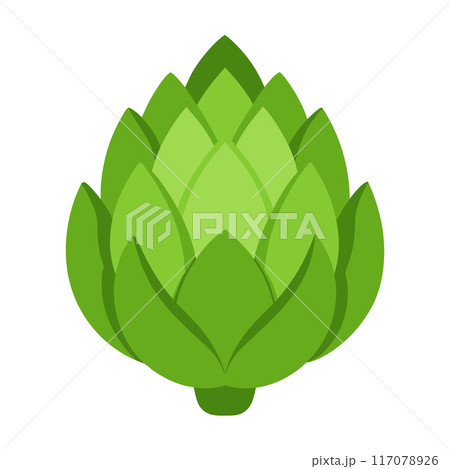 artichoke vegetable for cooking meals. A bright element isolated on white for design. artichoke vegetable for cooking meals. A bright element isolated on white for design. 117078926