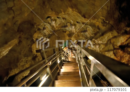 東北・龍泉洞・三原峠から降りる階段、冒険気分のイメージ・岩手県岩泉町(1) 117079101