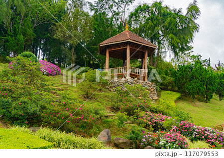 Nature park, landscape design. Nature park, landscape design. 117079553