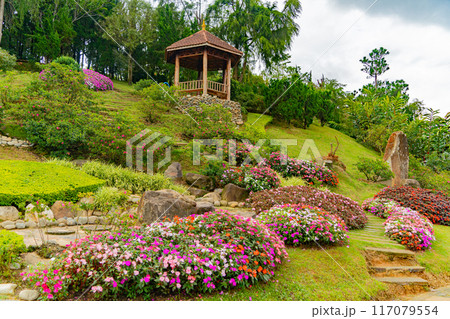 Nature park, landscape design. Nature park, landscape design. 117079554