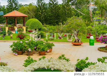Nature park, landscape design. Nature park, landscape design. 117079555