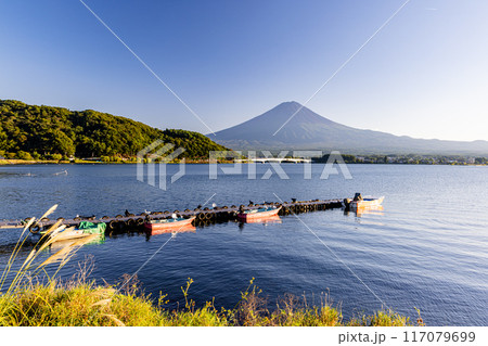 山梨県　河口湖から望む富士山 117079699