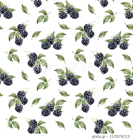 Blackberry, ripe berries with leaves. Watercolor illustration, floral seamless pattern on white background with summer fruit for table textile, summer fabrics, wrapping paper and food packages Blackberry, ripe berries with leaves. Watercolor illustration, floral seamless pattern on white background with summer fruit for table textile, summer fabrics, wrapping paper and food packages 117079723