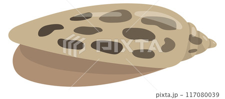 Clam shell color icon. Ocean coast fauna Clam shell color icon. Ocean coast fauna 117080039