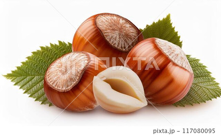 ヘーゼルナッツ ヘーゼルナッツ 117080095