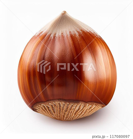 ヘーゼルナッツ 117080097