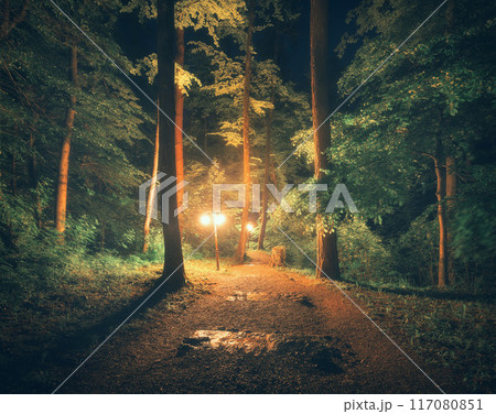 Mystical forest path at night in fog, illuminated by street lamp 117080851