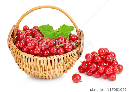 Red currant berries in a wicker basket with leaf isolated on white background 117081021