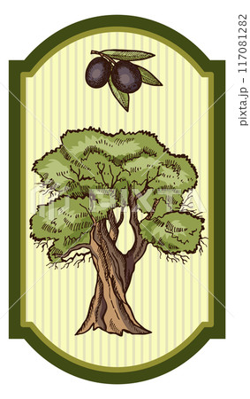Olive oil label template. Vintage traditional tag 117081282