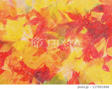 紅葉したモミジの葉 117081666