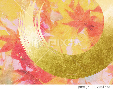 紅葉したモミジの葉 紅葉したモミジの葉 117081678